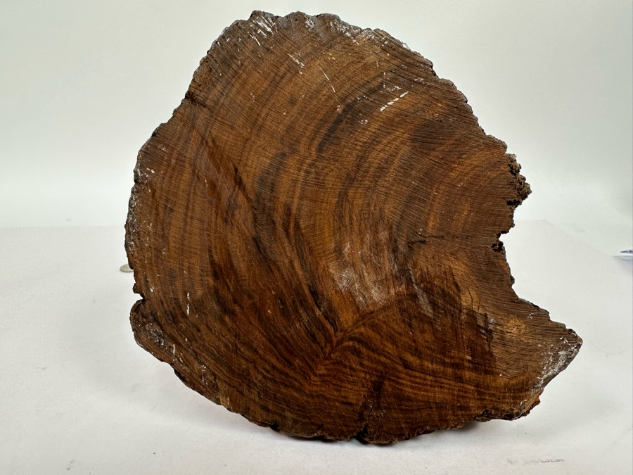 Vintage Seri Indians Carved Ironwood Dolphin Sculpture 15H [Photo 10]