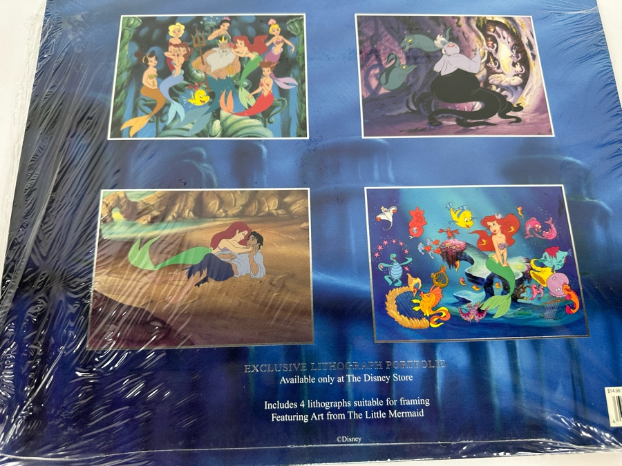 Disney Store Peter Pan Padfolio