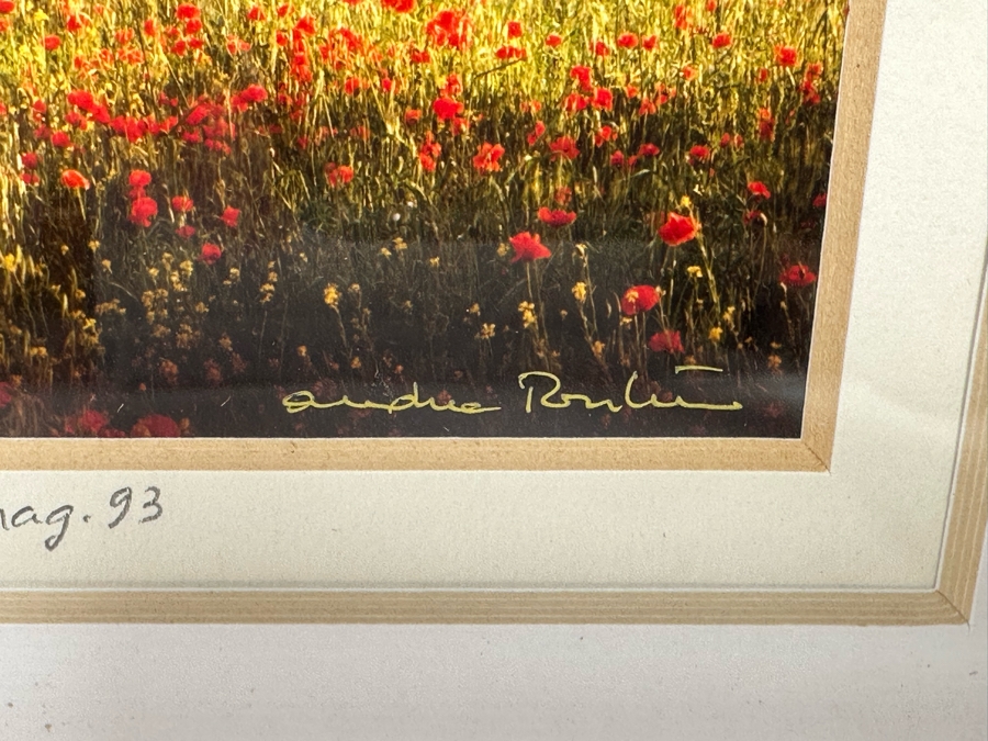 Pair Of Grape Vineyards Photographs Signed Framed 14 X 17 [Photo 7]