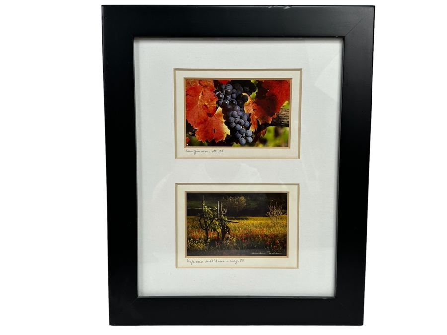 Pair Of Grape Vineyards Photographs Signed Framed 14 X 17