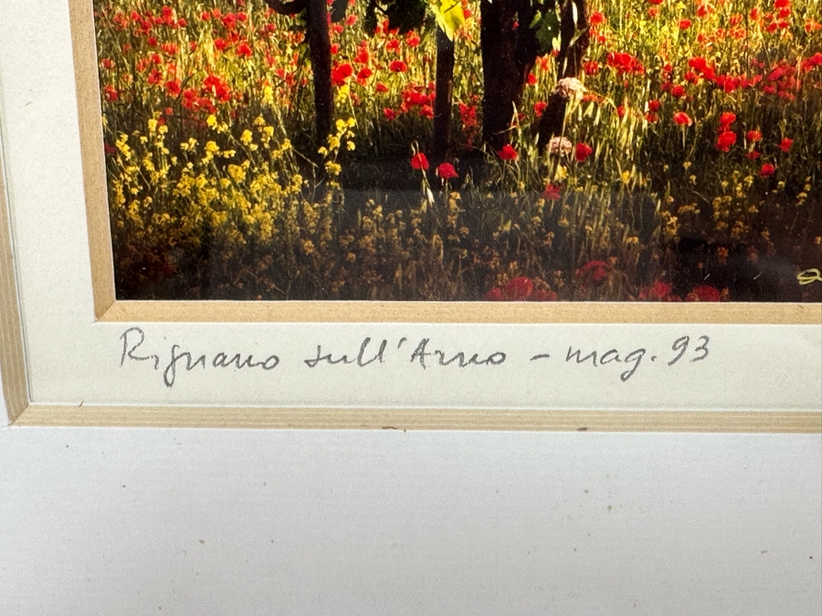 Pair Of Grape Vineyards Photographs Signed Framed 14 X 17 [Photo 8]