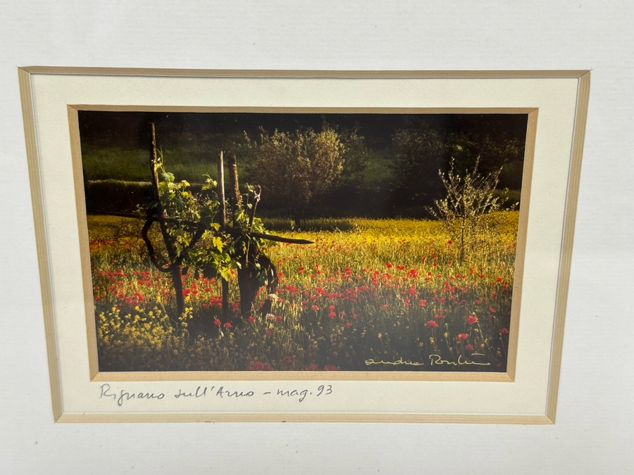 Pair Of Grape Vineyards Photographs Signed Framed 14 X 17 [Photo 6]