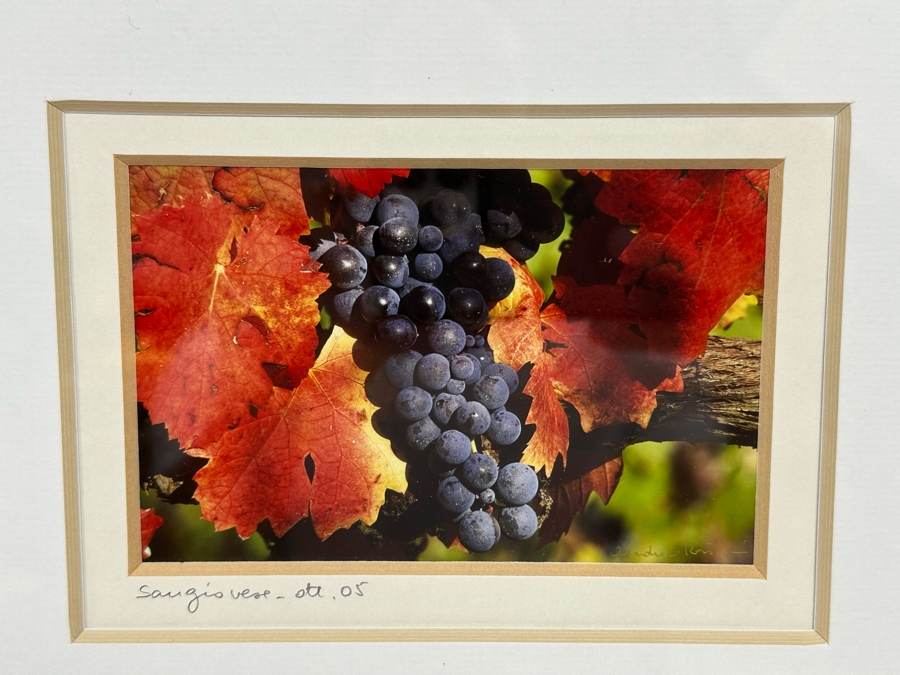 Pair Of Grape Vineyards Photographs Signed Framed 14 X 17 [Photo 3]