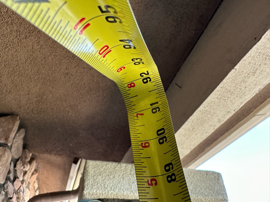 Large Ponytail Palm Tree 92”H In Blue Pot	 [Photo 6]