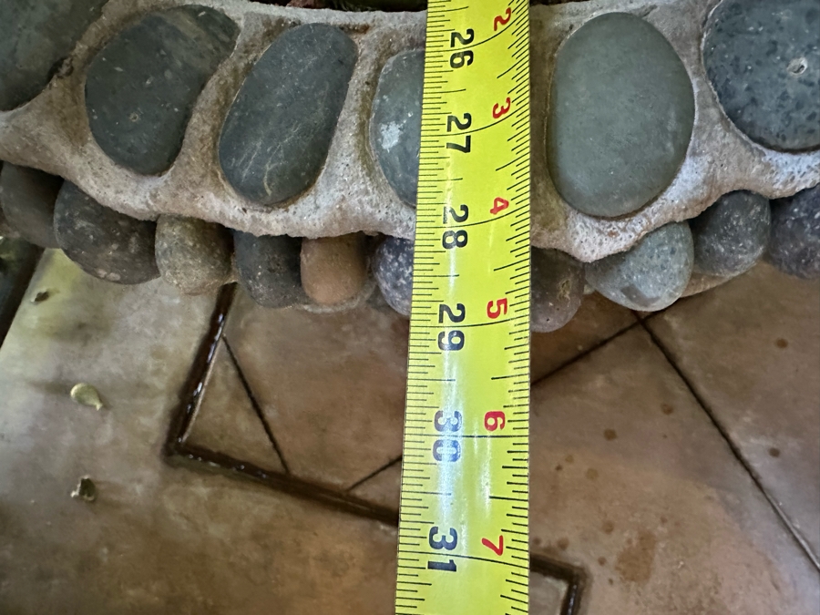 Jade Plant 68H In Large Pot 29W [Photo 5]