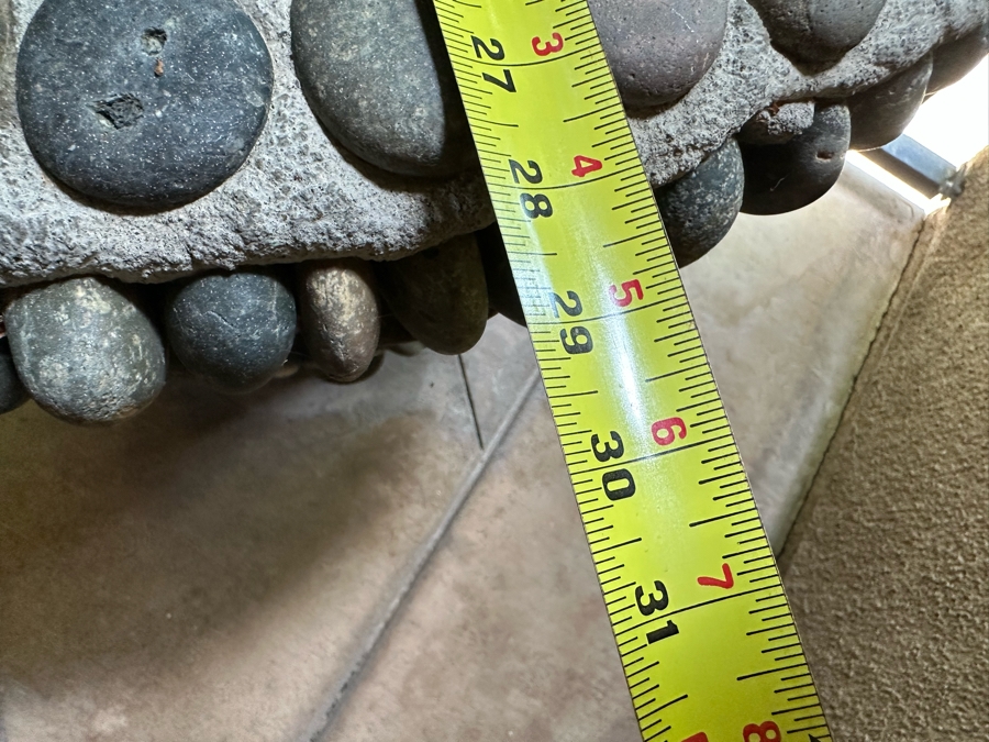 Jade Plant 71H In Large Pot 29W [Photo 5]