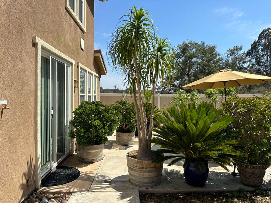 Scripps Ranch Online Auction Flash Sale - Pick Up From Home