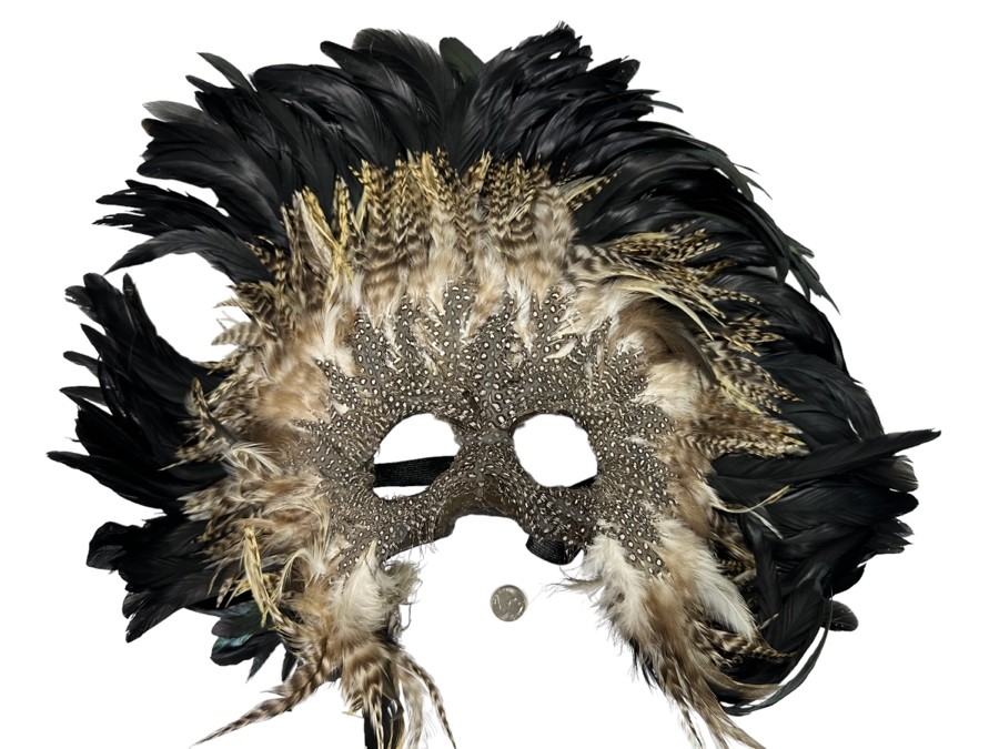 Handmade Feather Mask 21W X 16H