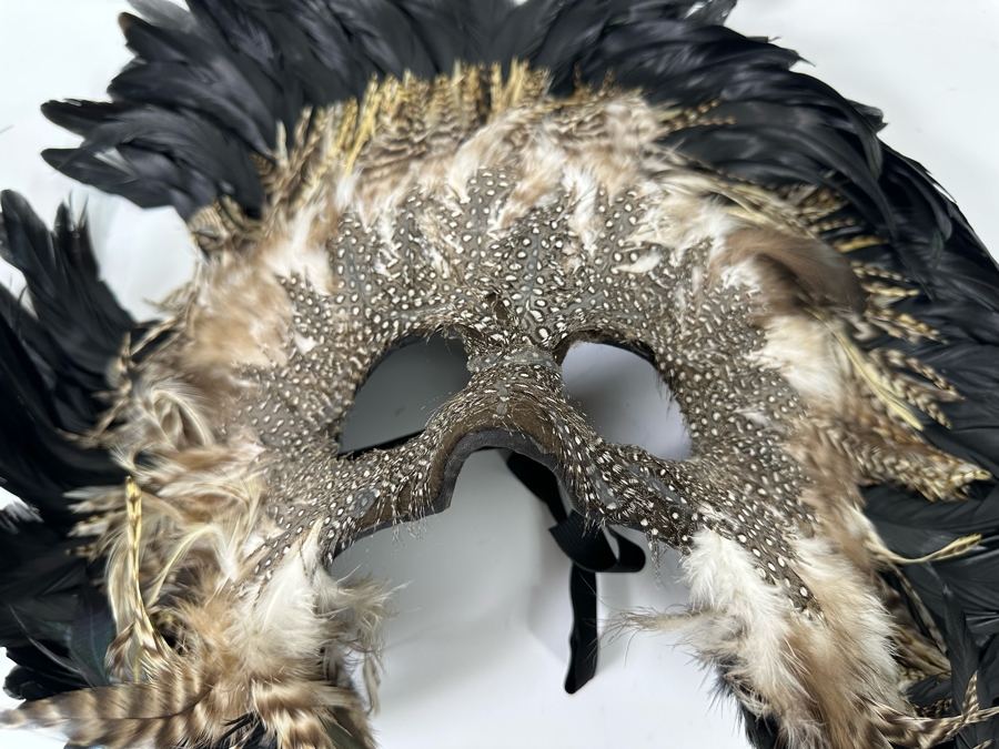 Handmade Feather Mask 16W X 12H [Photo 6]