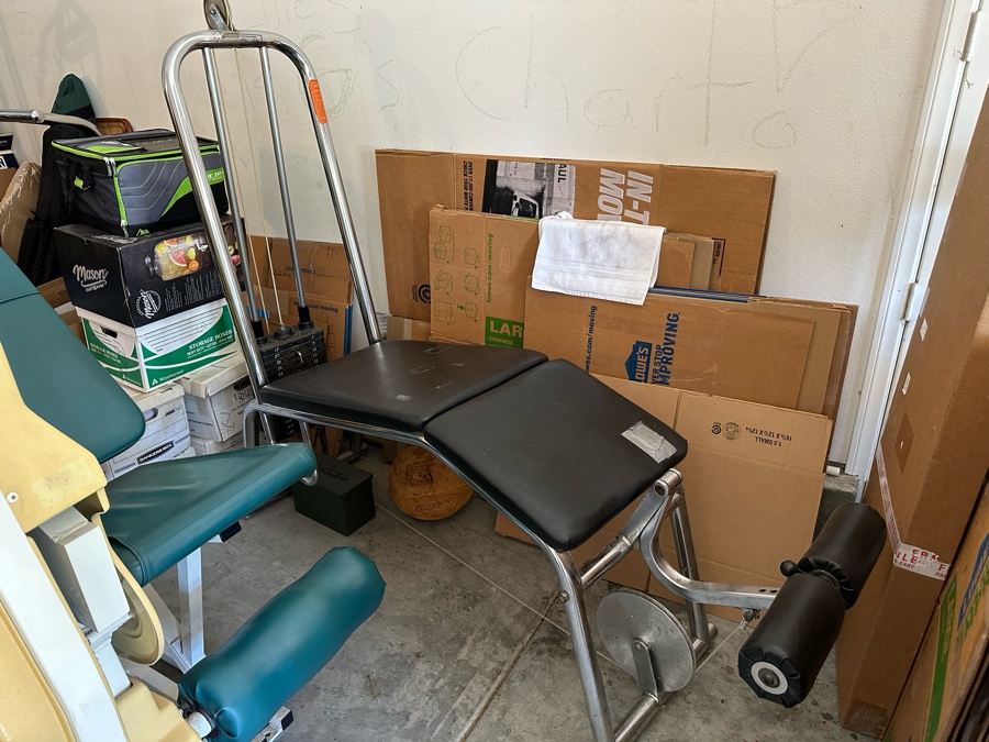 Universal Commercial Leg Lift Exercise Equipment Machine With Cam Feature Designed By Client 23W X 79D X 69H [Photo 2]