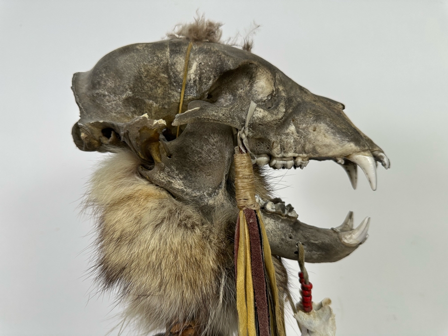 Native American Coyote Skull Spirit Chaser Freestanding Sculpture 31H [Photo 15]