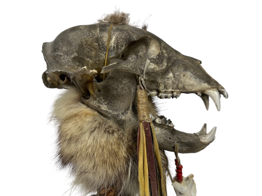 Native American Coyote Skull Spirit Chaser Freestanding Sculpture 31H [Photo 3]