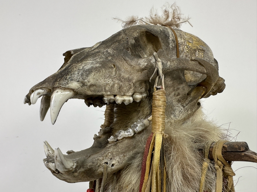 Native American Coyote Skull Spirit Chaser Freestanding Sculpture 31H [Photo 6]