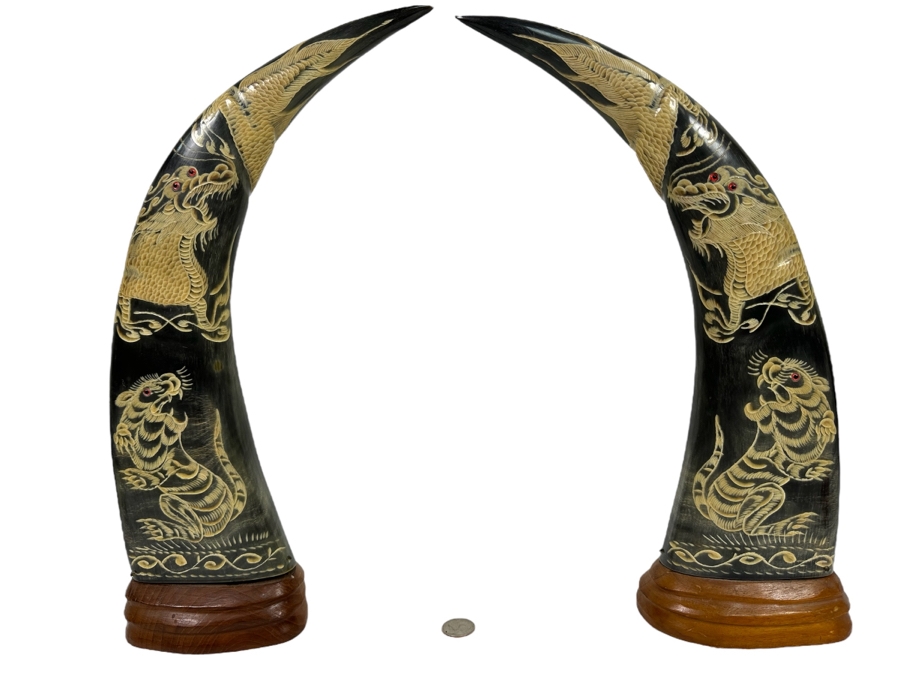Pair Of Vintage Hand Carved Buffalo Horns With Scenes Of Tigers And Dragons From Thailand 16.5H