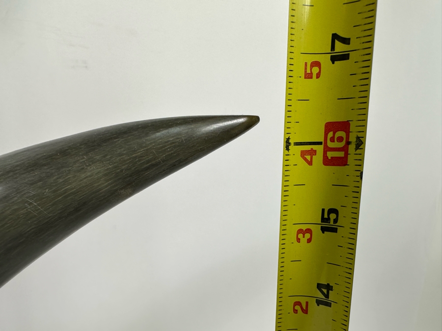 Pair Of Vintage Hand Carved Buffalo Horns With Scenes Of Tigers And Dragons From Thailand 16.5H [Photo 14]