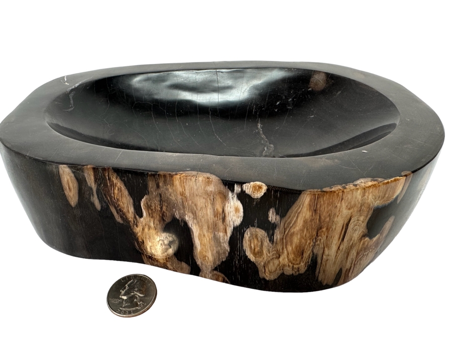 Polished Fossilized Petrified Wooden Bowl 9.5W X 6.5D X  2.25H
