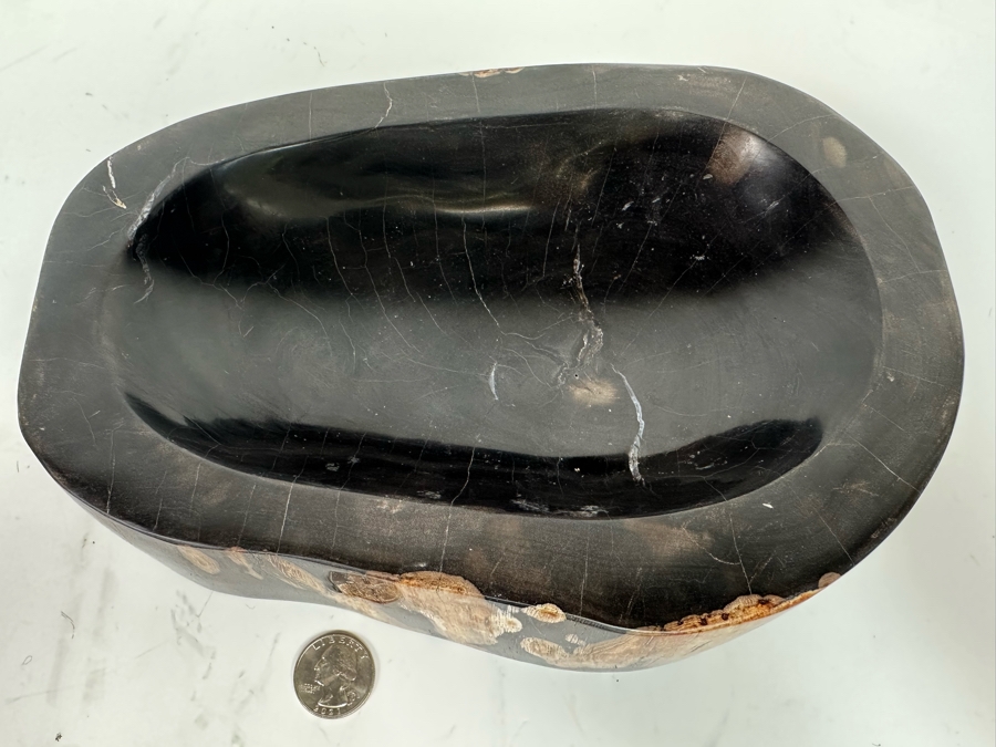 Polished Fossilized Petrified Wooden Bowl 9.5W X 6.5D X  2.25H [Photo 4]