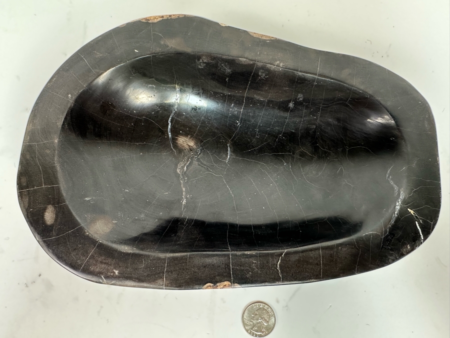 Polished Fossilized Petrified Wooden Bowl 9.5W X 6.5D X  2.25H [Photo 7]