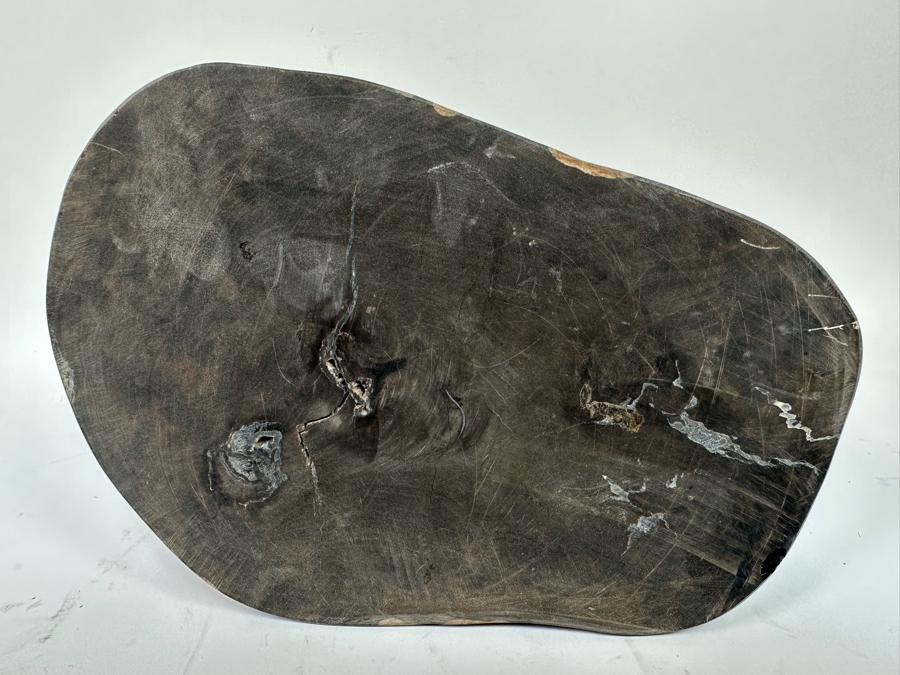 Polished Fossilized Petrified Wooden Bowl 9.5W X 6.5D X  2.25H [Photo 6]