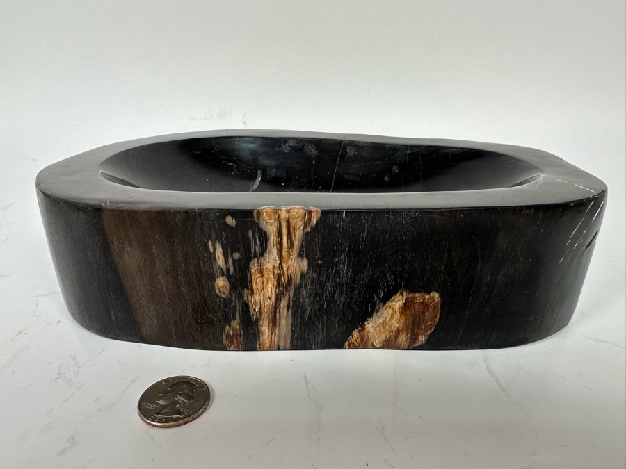 Polished Fossilized Petrified Wooden Bowl 9.5W X 6.5D X  2.25H [Photo 5]