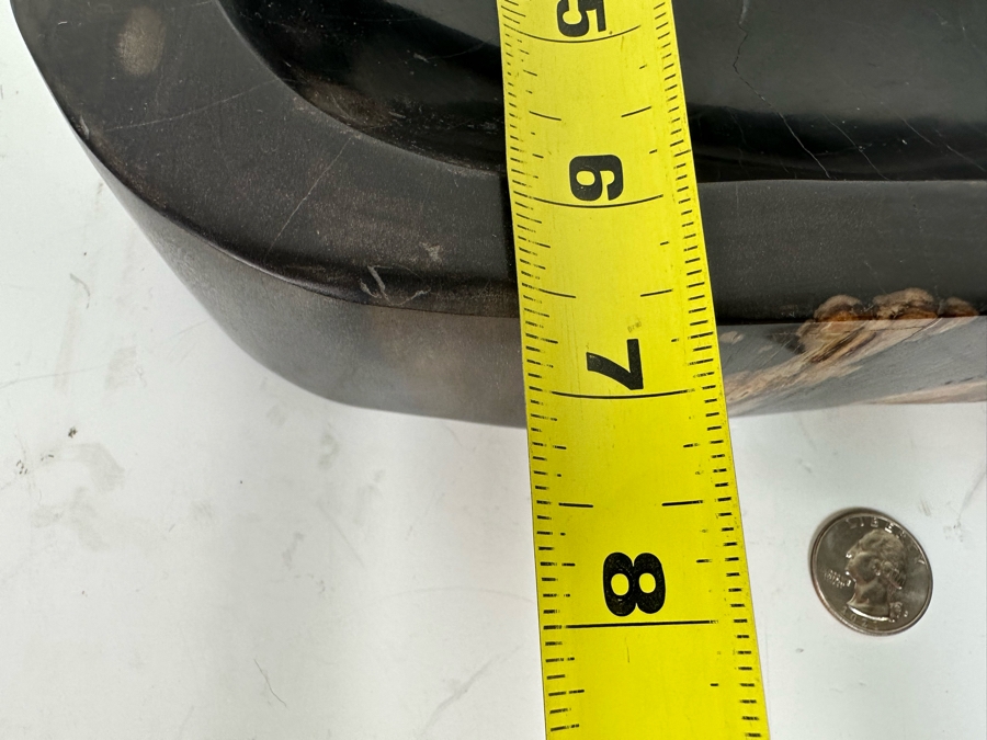 Polished Fossilized Petrified Wooden Bowl 9.5W X 6.5D X  2.25H [Photo 9]