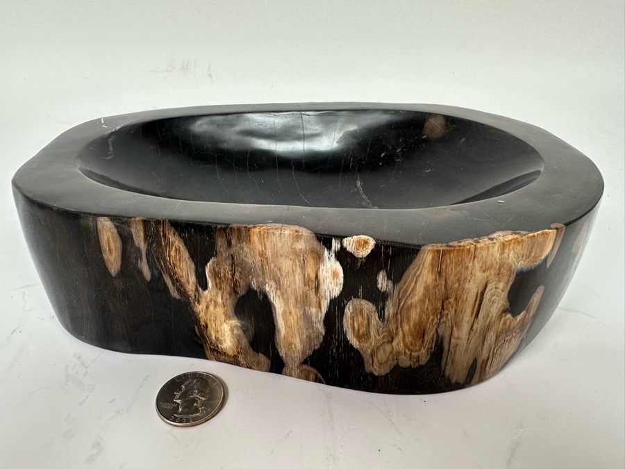 Polished Fossilized Petrified Wooden Bowl 9.5W X 6.5D X  2.25H [Photo 3]