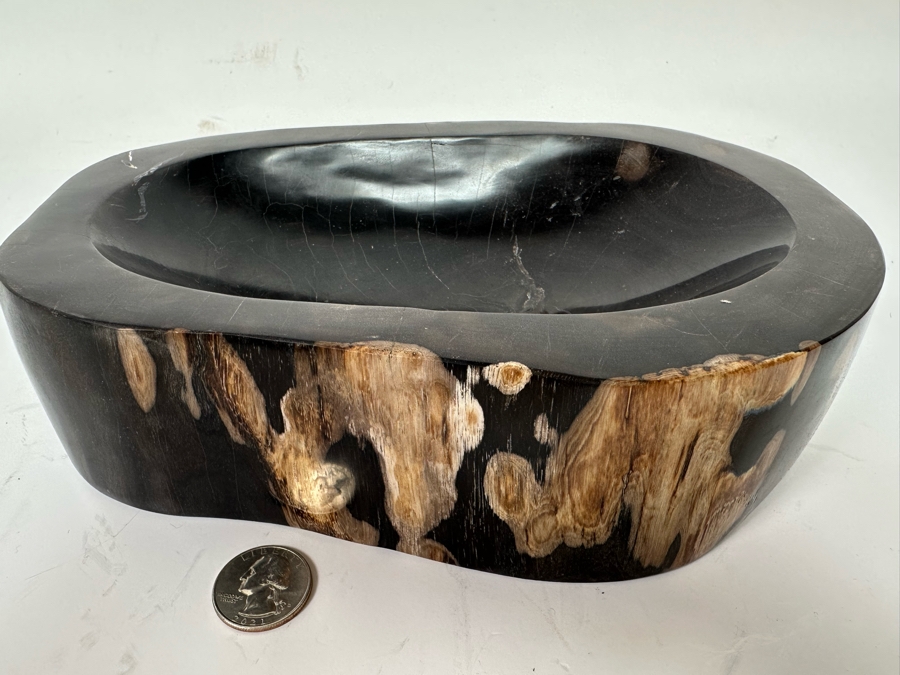 Polished Fossilized Petrified Wooden Bowl 9.5W X 6.5D X  2.25H [Photo 2]