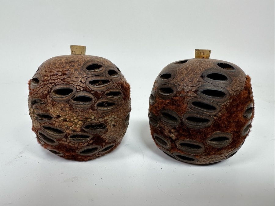 Carved Wooden Tissue Box Cover 6H And Pair Of Banksia Seed Pod Natural Diffusers 2.5H [Photo 4]