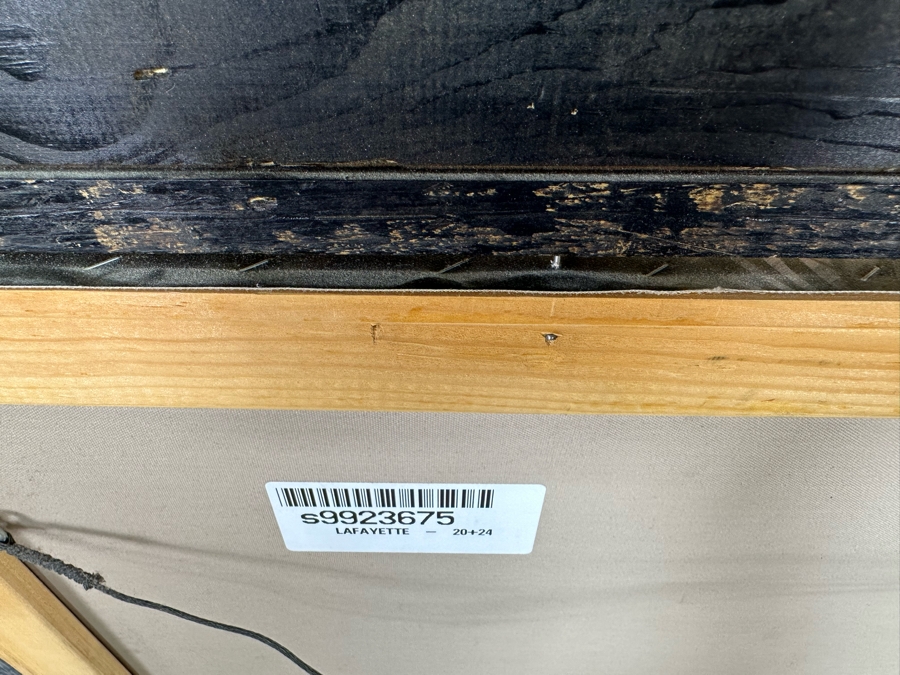 Tiger Canvas Print By Lafayette 24 X 20 Framed 33 X 29 [Photo 10]