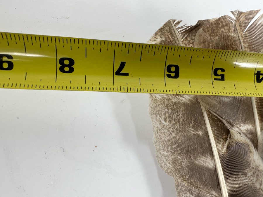 Handmade Native American Spirit Ceremonial And Prayer Fan 17 X 7 [Photo 10]