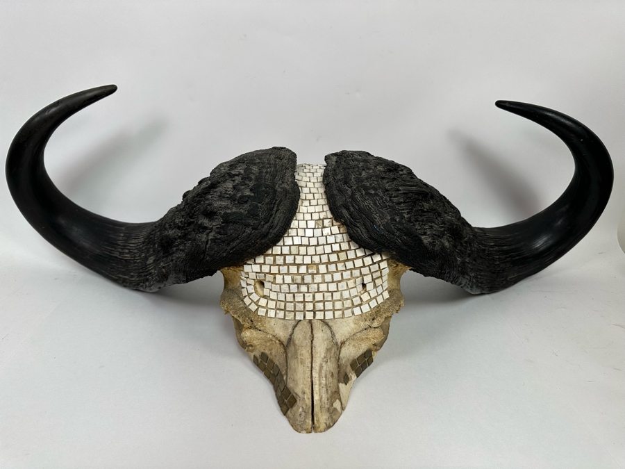 Vintage Water Buffalo Skull And Horns Embellished With White Tiles Heavy 39W X 18D X 11H [Photo 3]