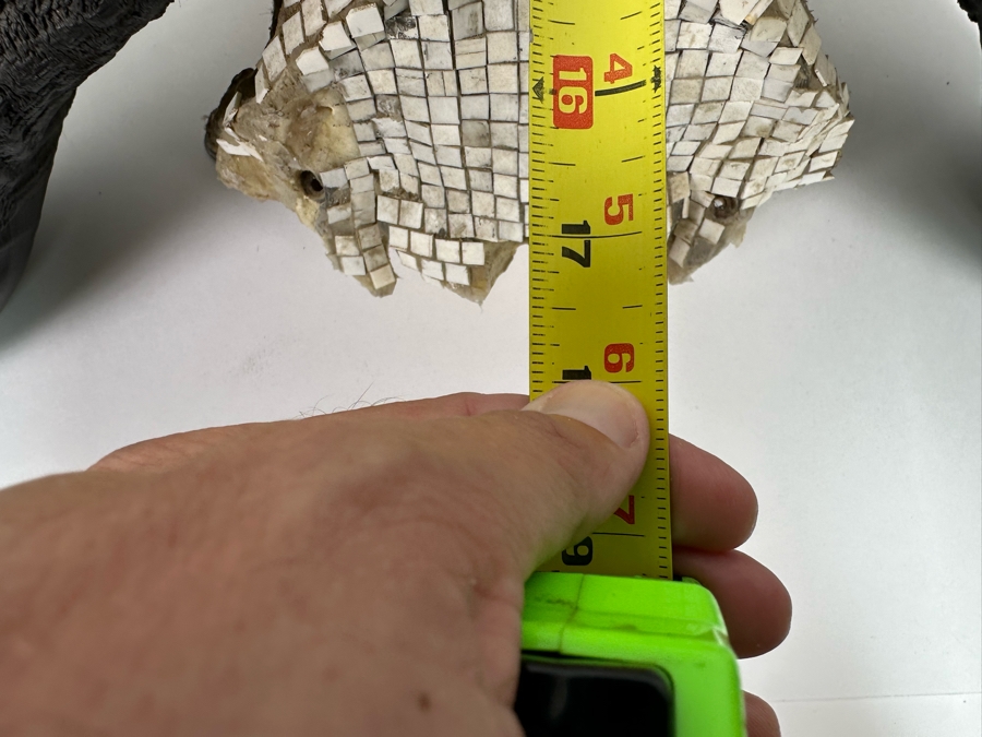 Vintage Water Buffalo Skull And Horns Embellished With White Tiles Heavy 39W X 18D X 11H [Photo 14]