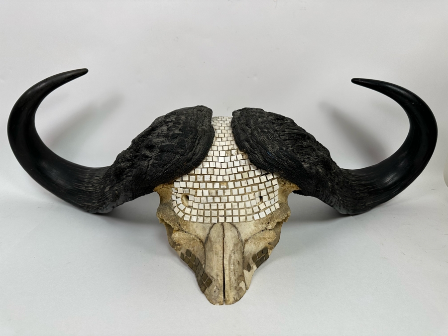 Vintage Water Buffalo Skull And Horns Embellished With White Tiles Heavy 39W X 18D X 11H [Photo 2]