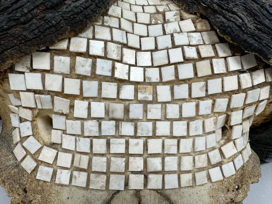Vintage Water Buffalo Skull And Horns Embellished With White Tiles Heavy 39W X 18D X 11H [Photo 9]