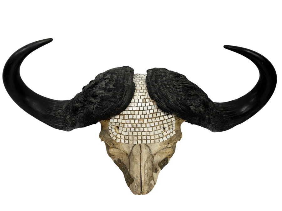 Vintage Water Buffalo Skull And Horns Embellished With White Tiles Heavy 39W X 18D X 11H [Photo 1]