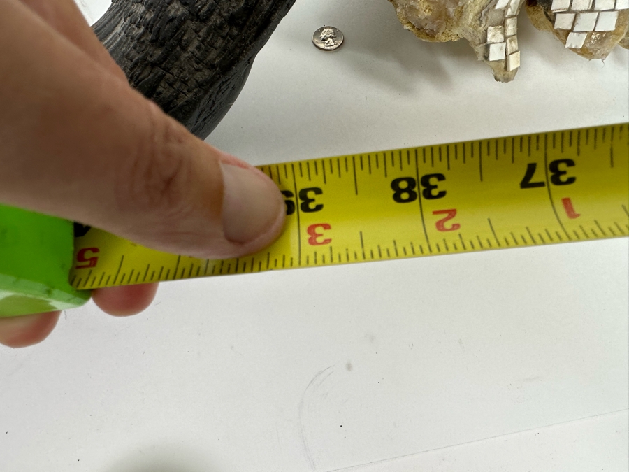 Vintage Water Buffalo Skull And Horns Embellished With White Tiles Heavy 39W X 18D X 11H [Photo 13]