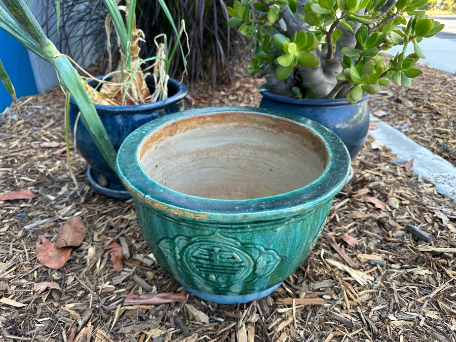 Two Potted Plants (Jade Plant) And Green Glazed Pot [Photo 3]