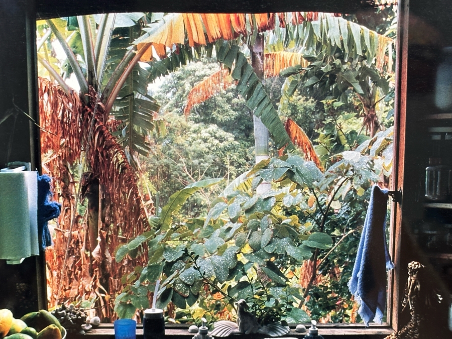 Michael Seewald Signed Photograph Window - Molokai Hawaii 1993 13.5 X 10 Framed 22 X 18 [Photo 10]
