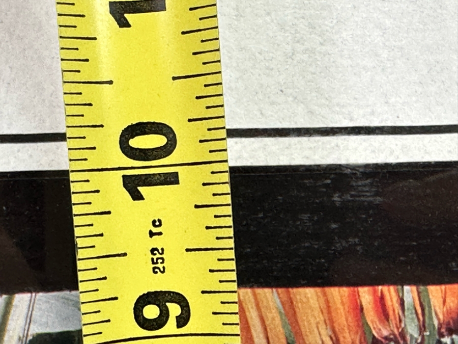 Michael Seewald Signed Photograph Window - Molokai Hawaii 1993 13.5 X 10 Framed 22 X 18 [Photo 12]