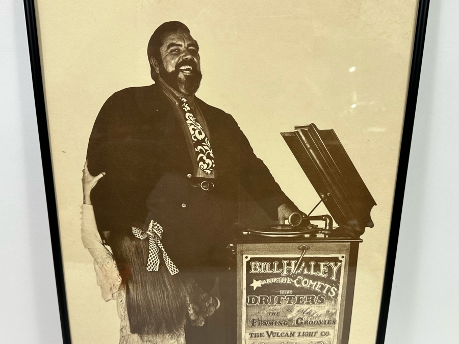 Bill Haley And The Comets, The Drifters And The Flaming Groovies Avalon Ballroom 1968 Family Dog Series Concert Poster (George Hunter) FD-133 14.5 X 22.5 [Photo 3]