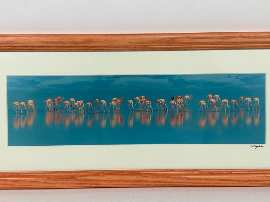 Signed Steve Vaughn Photograph Of Pink Flamingos Framed 21.5 X 10 [Photo 4]