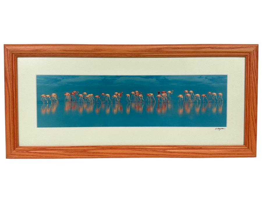 Signed Steve Vaughn Photograph Of Pink Flamingos Framed 21.5 X 10 [Photo 2]