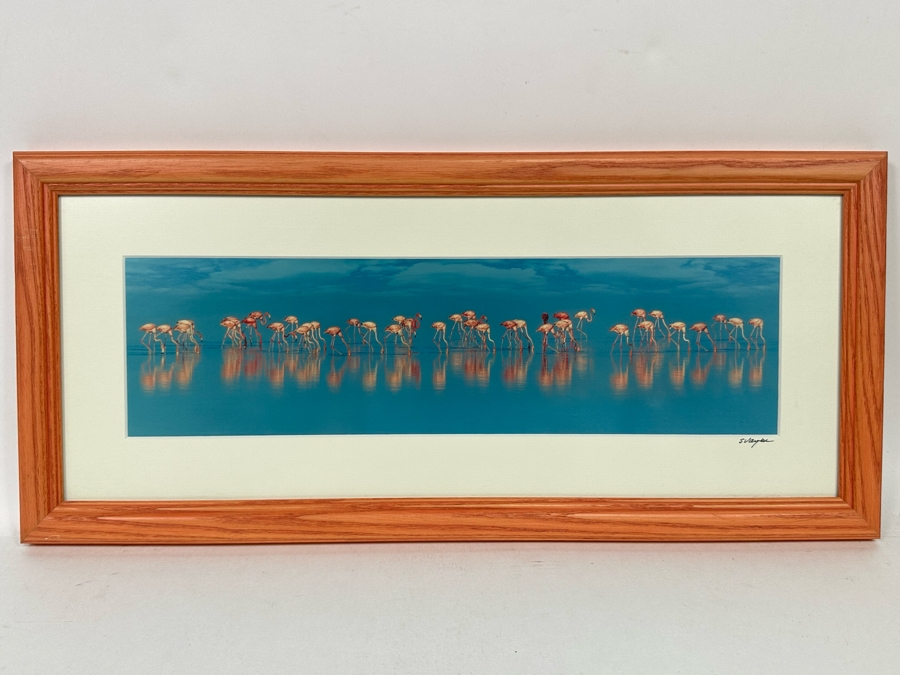 Signed Steve Vaughn Photograph Of Pink Flamingos Framed 21.5 X 10 [Photo 3]