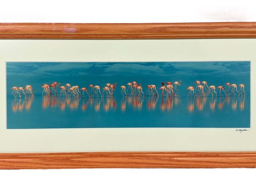 Signed Steve Vaughn Photograph Of Pink Flamingos Framed 21.5 X 10