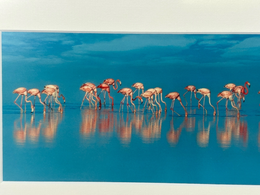 Signed Steve Vaughn Photograph Of Pink Flamingos Framed 21.5 X 10 [Photo 9]