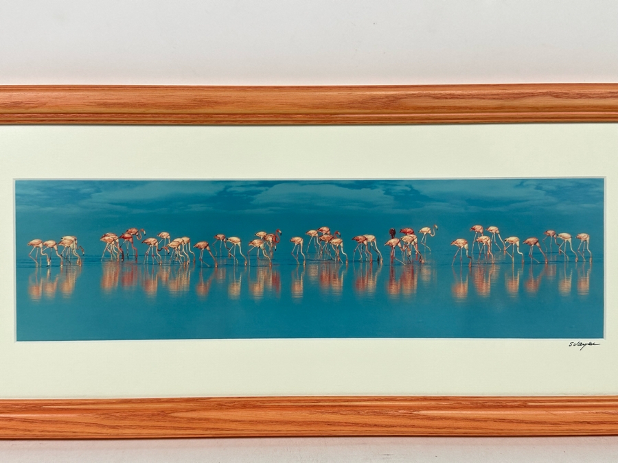 Signed Steve Vaughn Photograph Of Pink Flamingos Framed 21.5 X 10 [Photo 5]