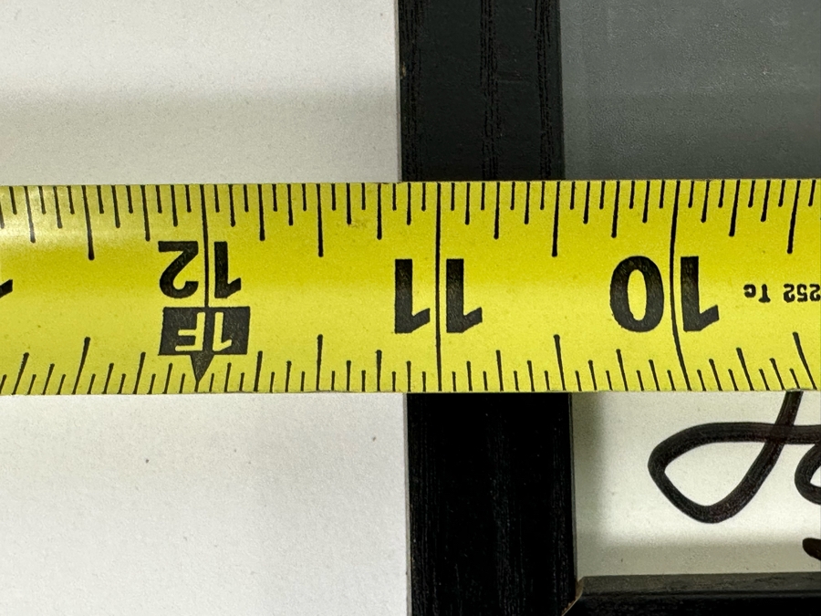 Autographed Color Photograph Of The Surf Music Band Jan & Dean Framed 11 X 9 [Photo 8]