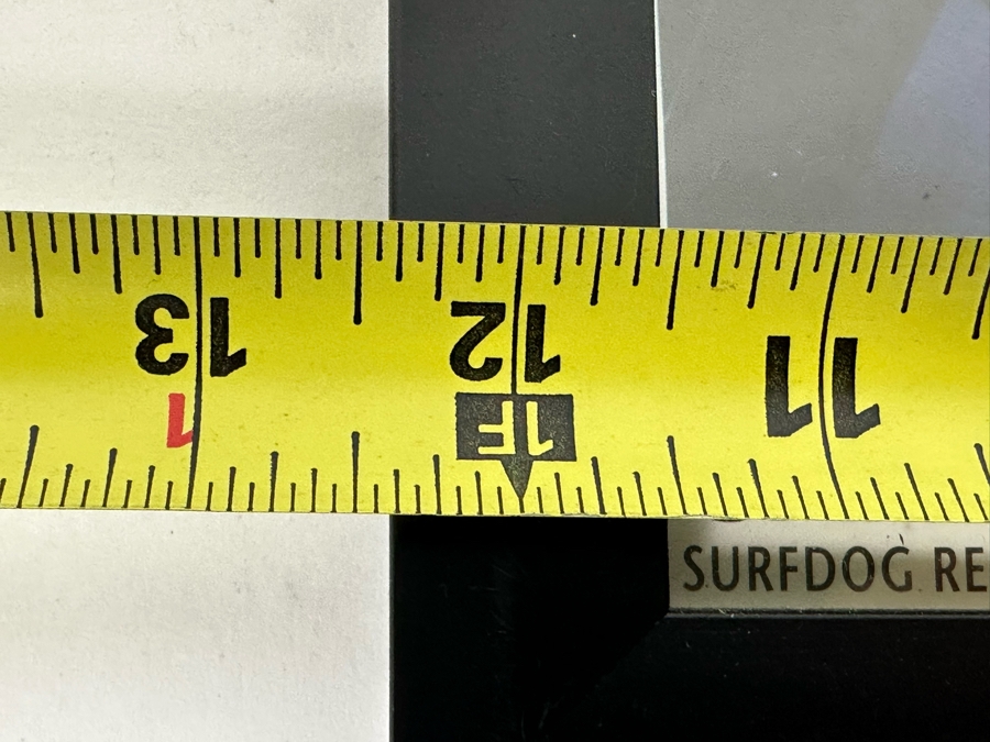 Autographed Gary Hoey Color Photograph Surfdog Recording Artist Framed 12 X 10 [Photo 7]