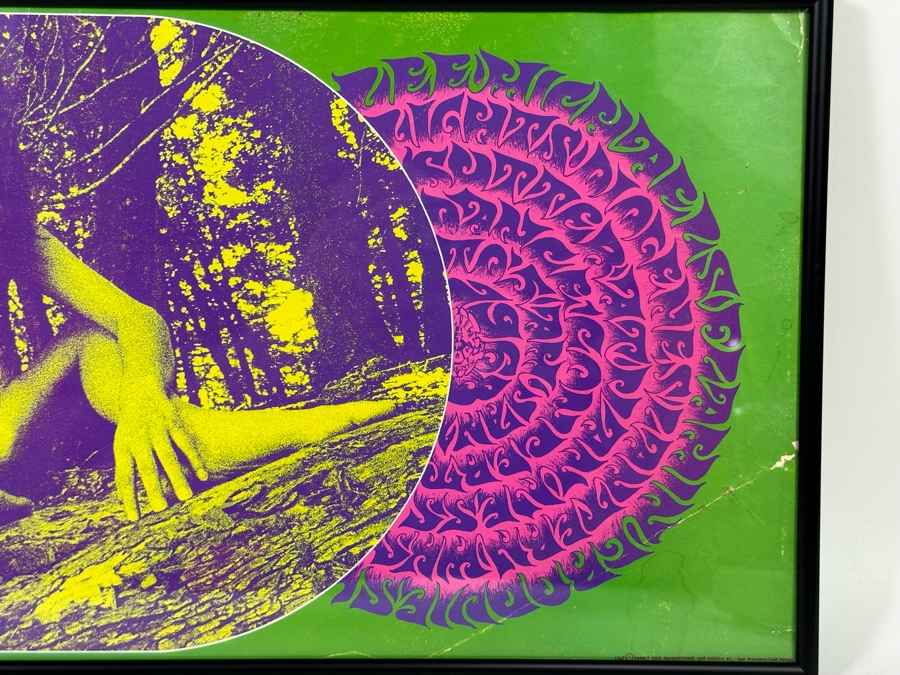 Country Joe & The Fish, Lee Michaels, Flamin' Groovies, Mad River, Mount Rushmore, Blue Cheer Vintage 1967 Concert Poster Avalon Ballroom Bob Schnepf / Thomas Weir Family Dog FD-99-1 Framed 28 X 11 [Photo 13]