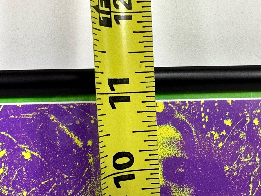 Country Joe & The Fish, Lee Michaels, Flamin' Groovies, Mad River, Mount Rushmore, Blue Cheer Vintage 1967 Concert Poster Avalon Ballroom Bob Schnepf / Thomas Weir Family Dog FD-99-1 Framed 28 X 11 [Photo 21]